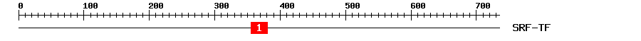 Signature Domain