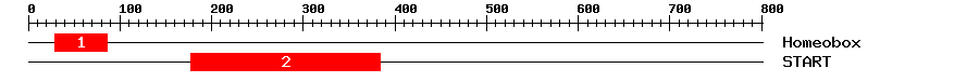 Signature Domain