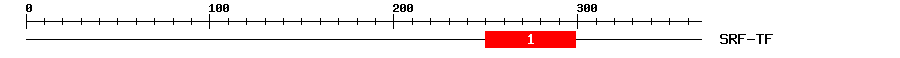 Signature Domain