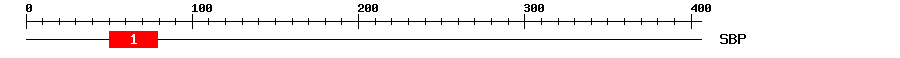 Signature Domain