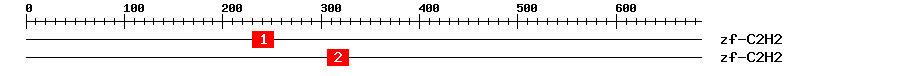 Signature Domain