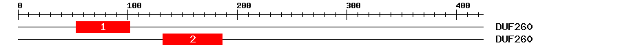 Signature Domain