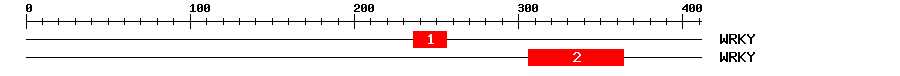 Signature Domain