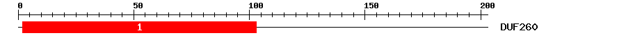 Signature Domain