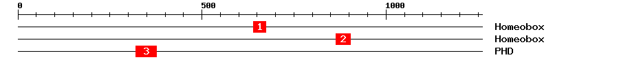 Signature Domain