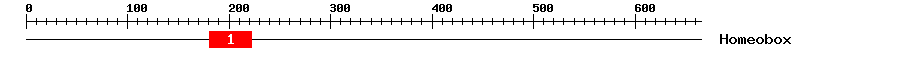 Signature Domain