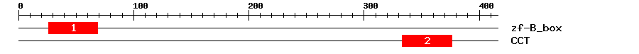 Signature Domain