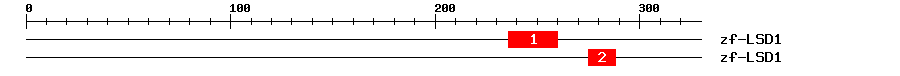 Signature Domain
