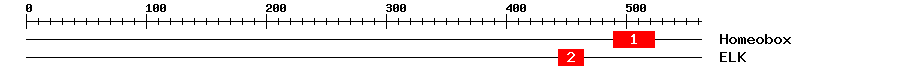 Signature Domain