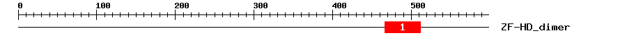 Signature Domain