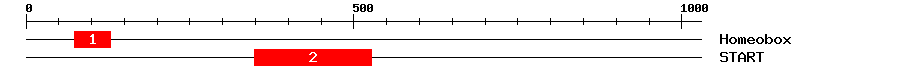 Signature Domain