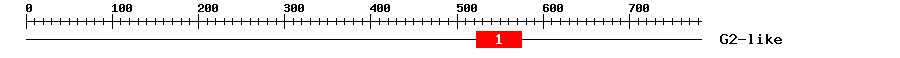 Signature Domain