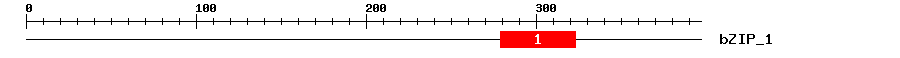 Signature Domain