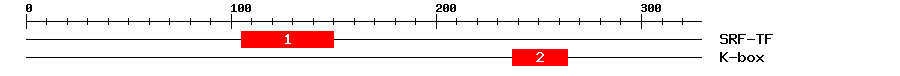 Signature Domain
