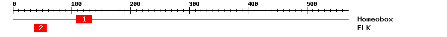 Signature Domain