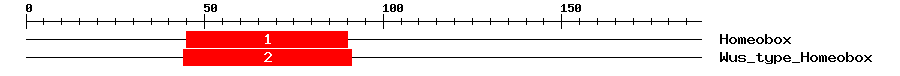 Signature Domain