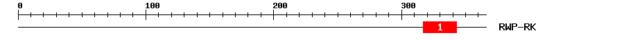 Signature Domain