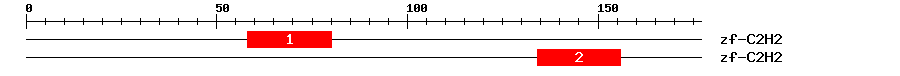 Signature Domain