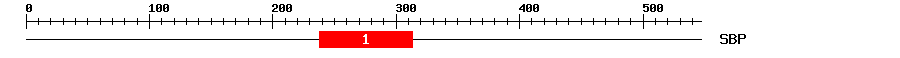 Signature Domain