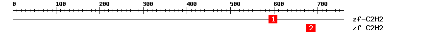 Signature Domain