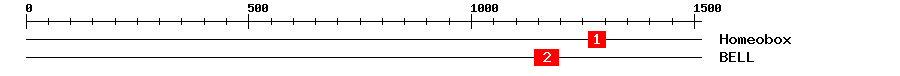 Signature Domain