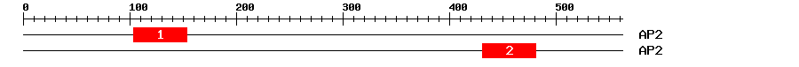 Signature Domain