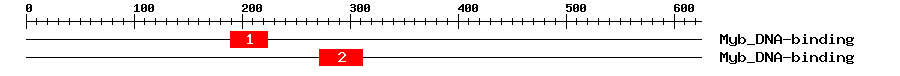 Signature Domain