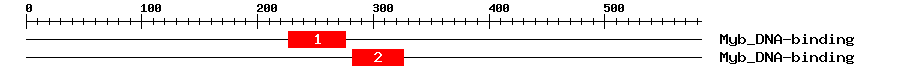 Signature Domain