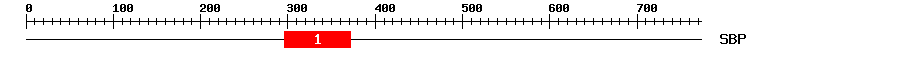 Signature Domain