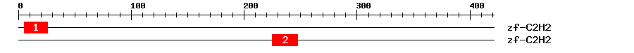 Signature Domain