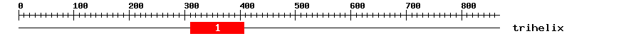 Signature Domain