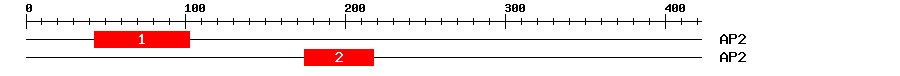 Signature Domain