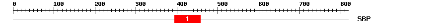 Signature Domain