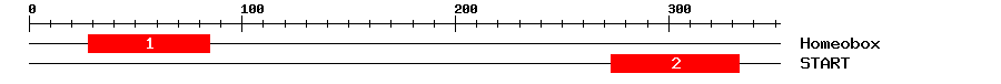 Signature Domain