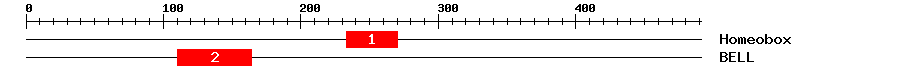 Signature Domain