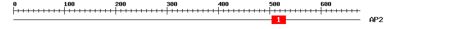 Signature Domain