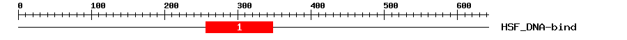 Signature Domain