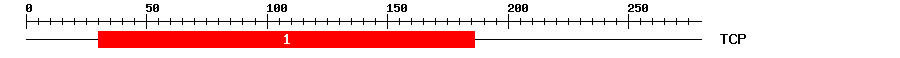 Signature Domain
