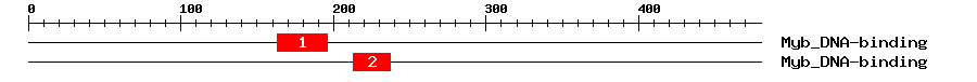 Signature Domain