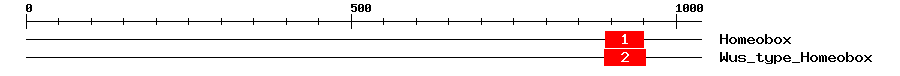 Signature Domain