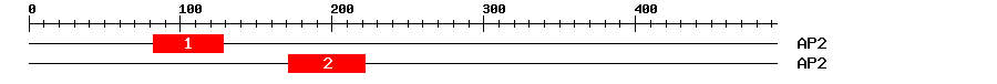 Signature Domain
