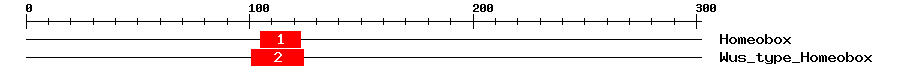 Signature Domain