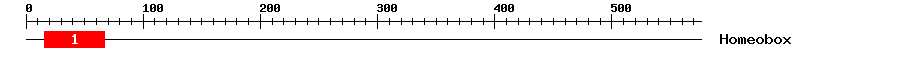 Signature Domain