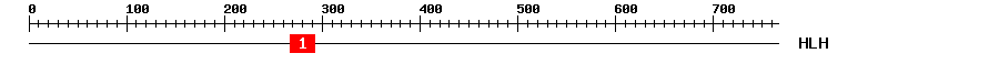 Signature Domain