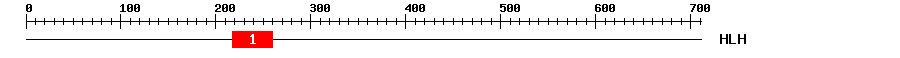 Signature Domain