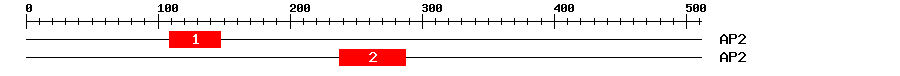 Signature Domain