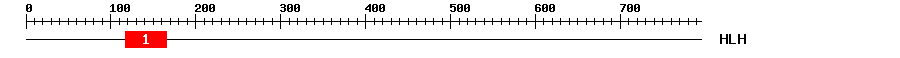 Signature Domain