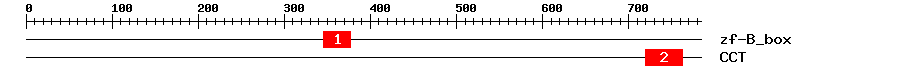Signature Domain