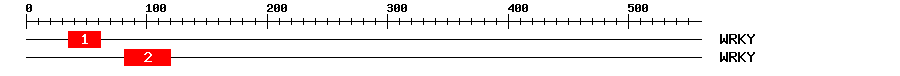 Signature Domain