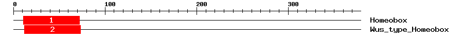 Signature Domain